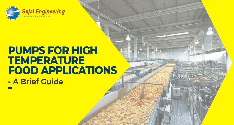 Pumps For High Temperature Food Application – A Brief Guide