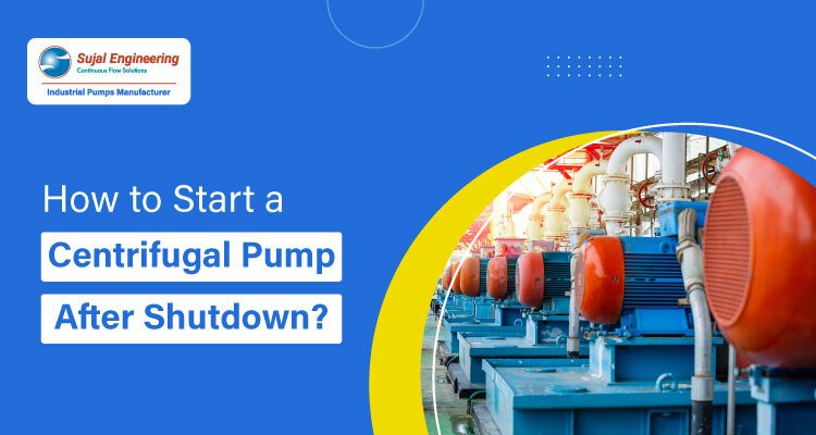 How to Start a Centrifugal Pump After Shutdown?
