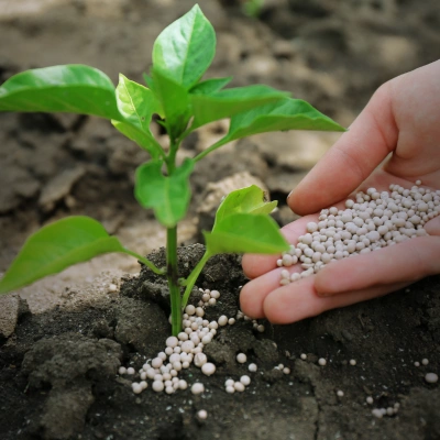 Fertilizer & Agrochemical Industry