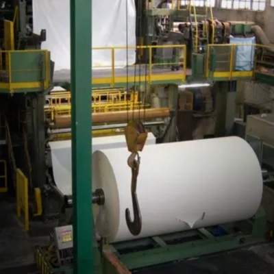 Pulp and paper industry