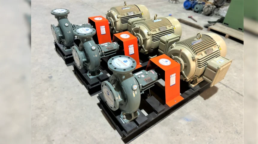thermic fluid hot oil pump project (4)