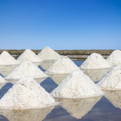 Brine and salt slurry