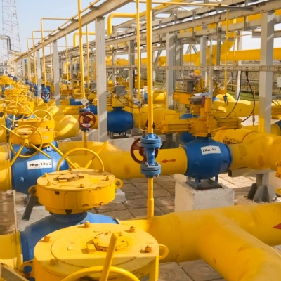 Pharmaceutical Industry