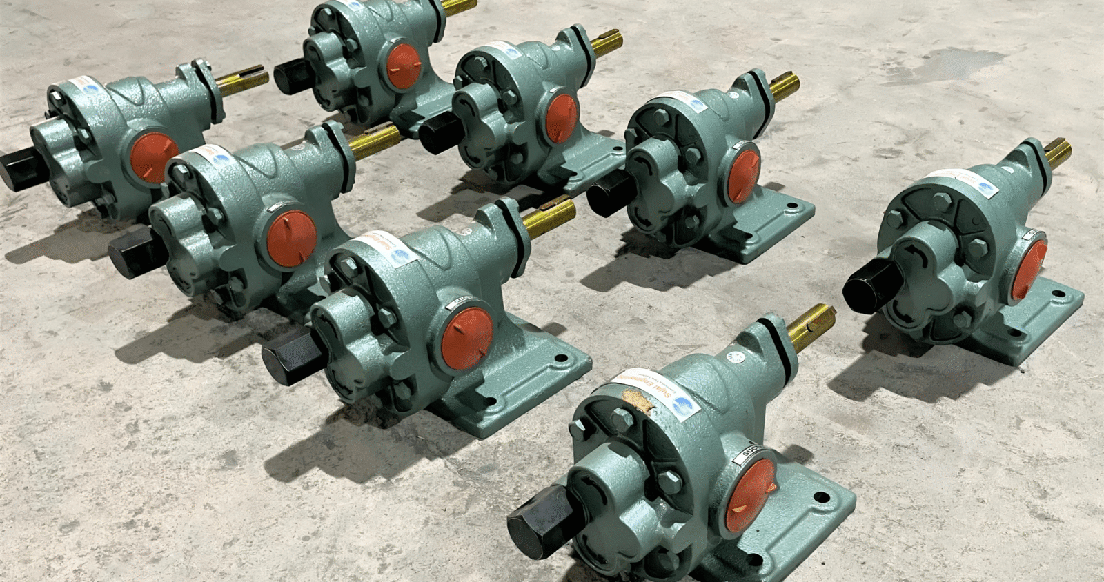 Rotary Gear Pump 6