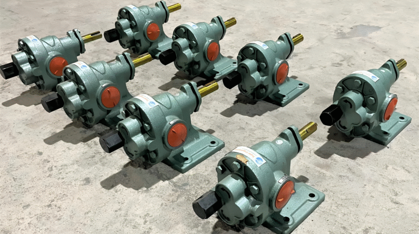 Rotary Gear Pump 6