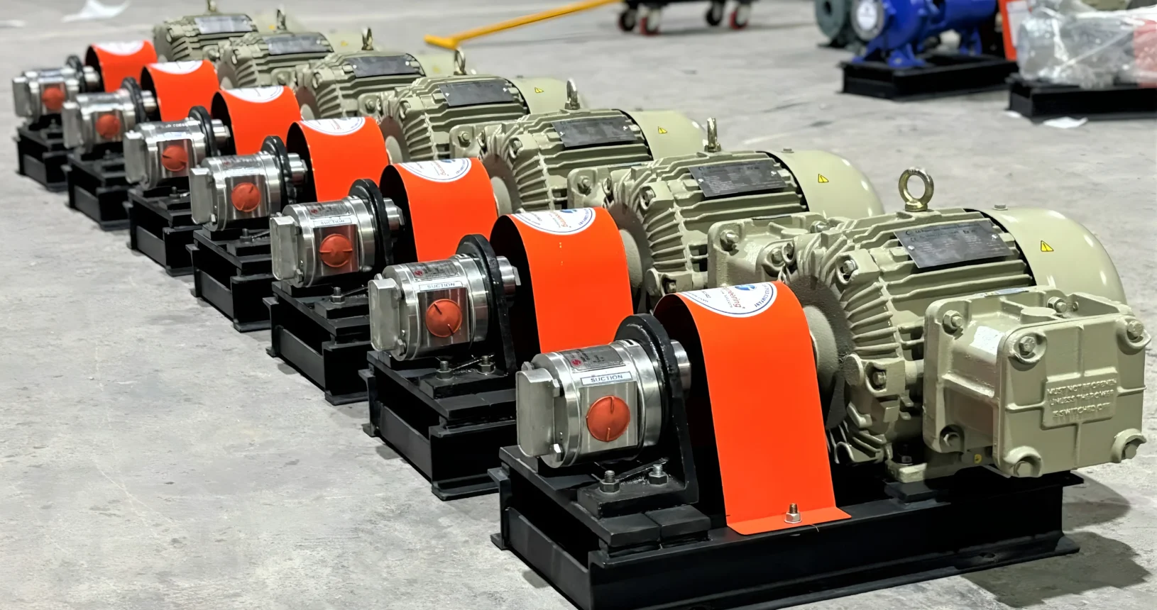 SGPSS Series SS Rotary Gear Pump Project 1