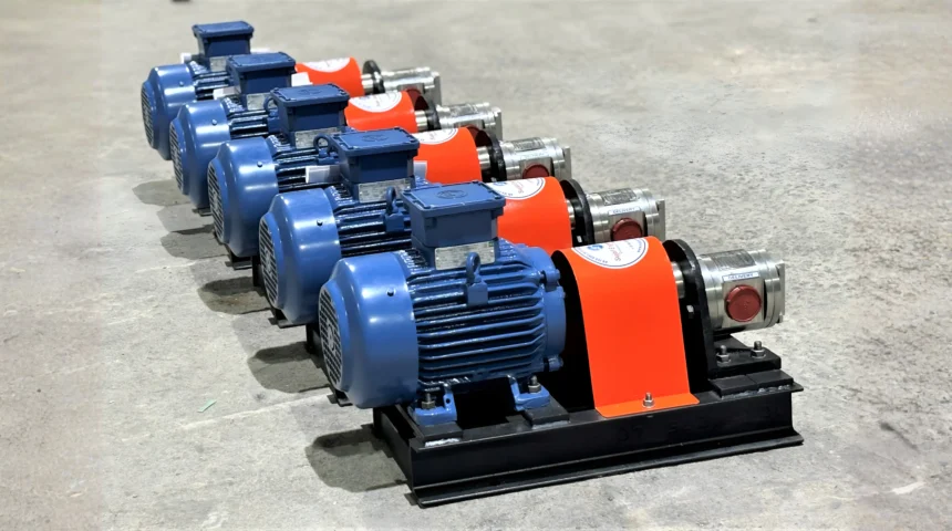 SGPSS Series SS Rotary Gear Pump Project 2