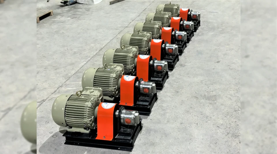 SGPSS Series SS Rotary Gear Pump Project 3