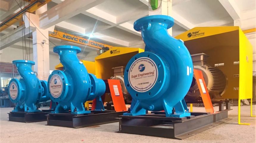 SSTP Series Horizontal Slurry Transfer Pump Project 1