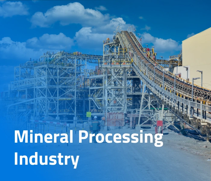 Mineral Processing Industry