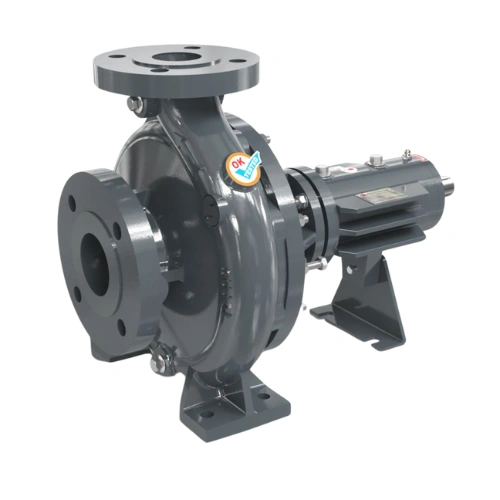 Thermic Fluid Hot Oil Pumps